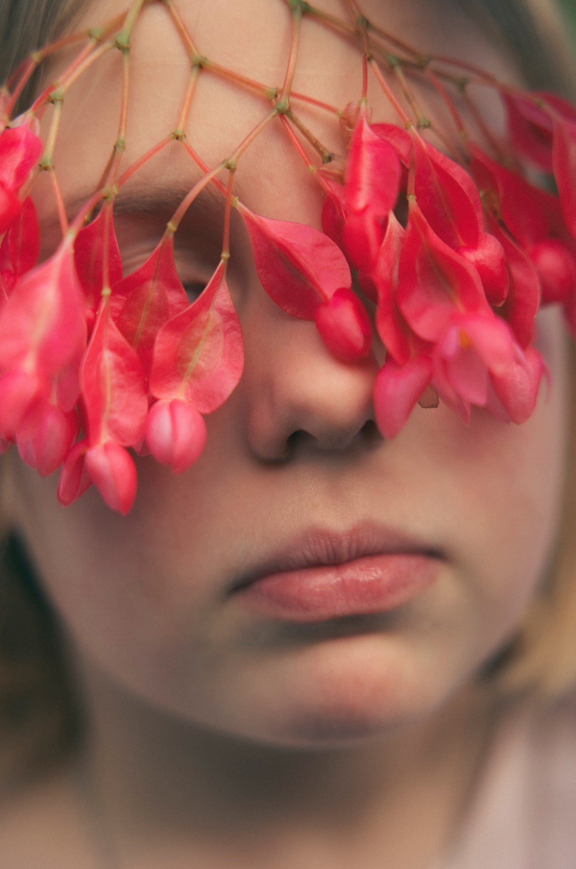 Sophie Smith | Daydreaming (2025)