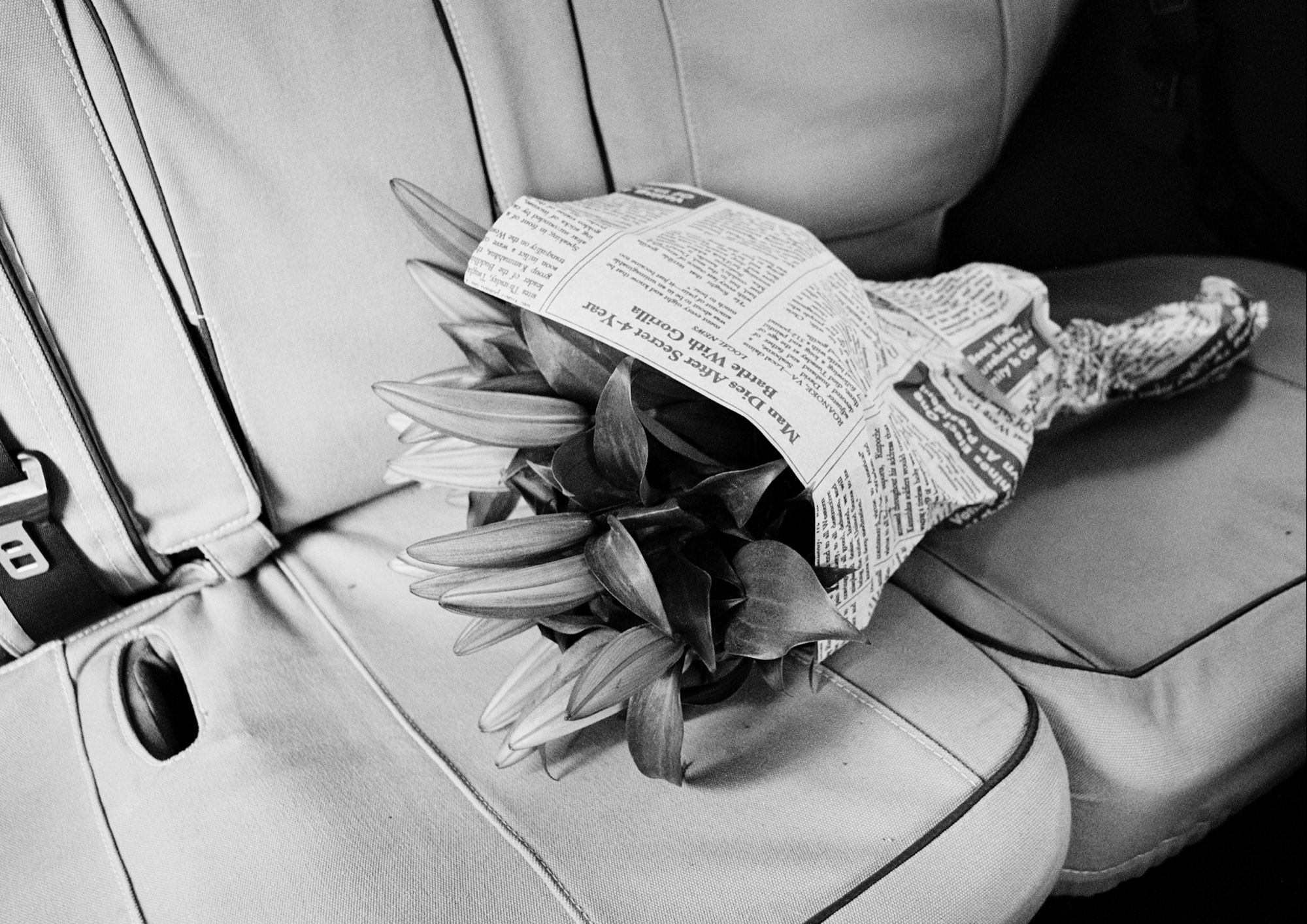 John Second | Man Dies (Cape Town, 2022)