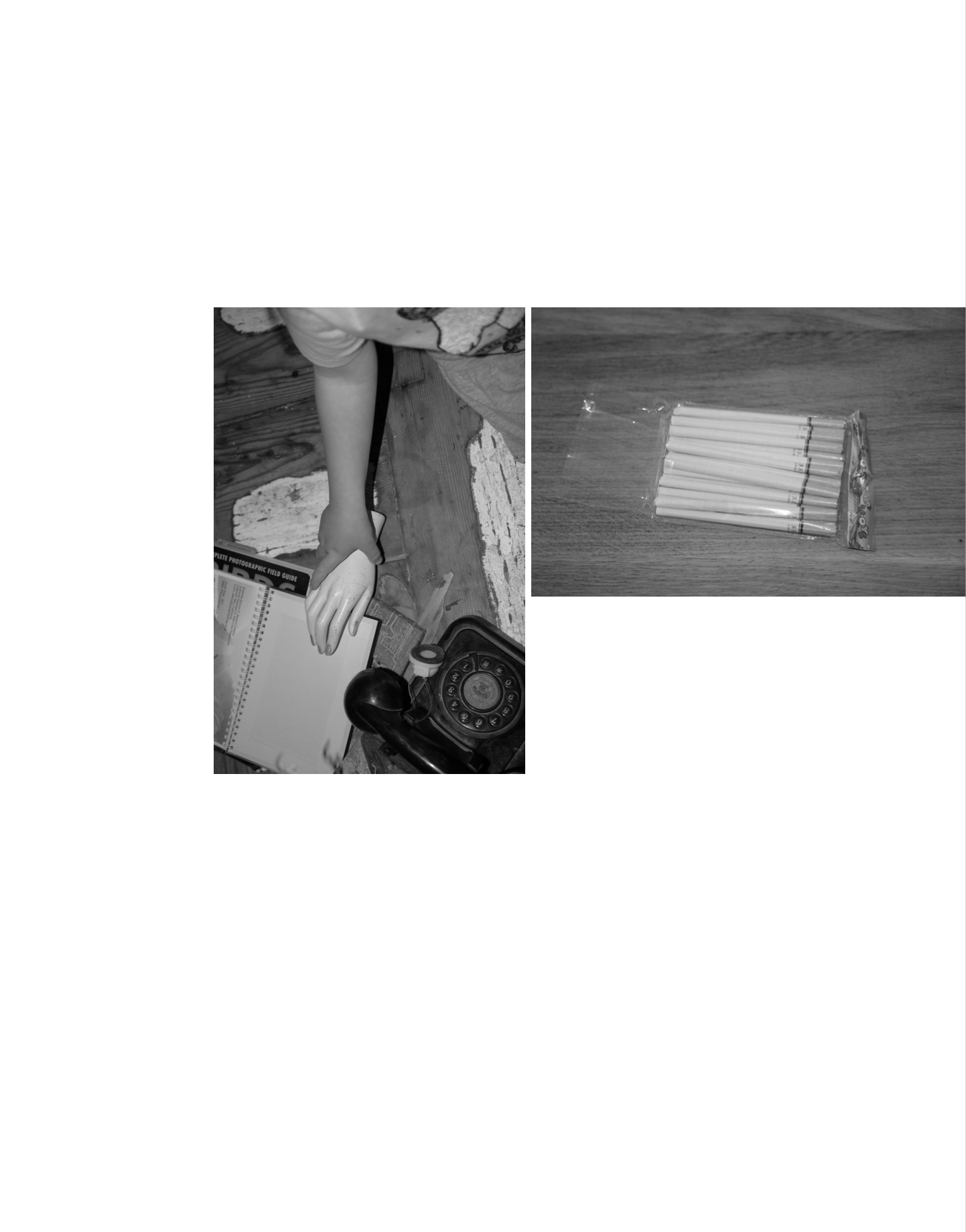 Sharday Swanepoel | Excerpt III (2025)