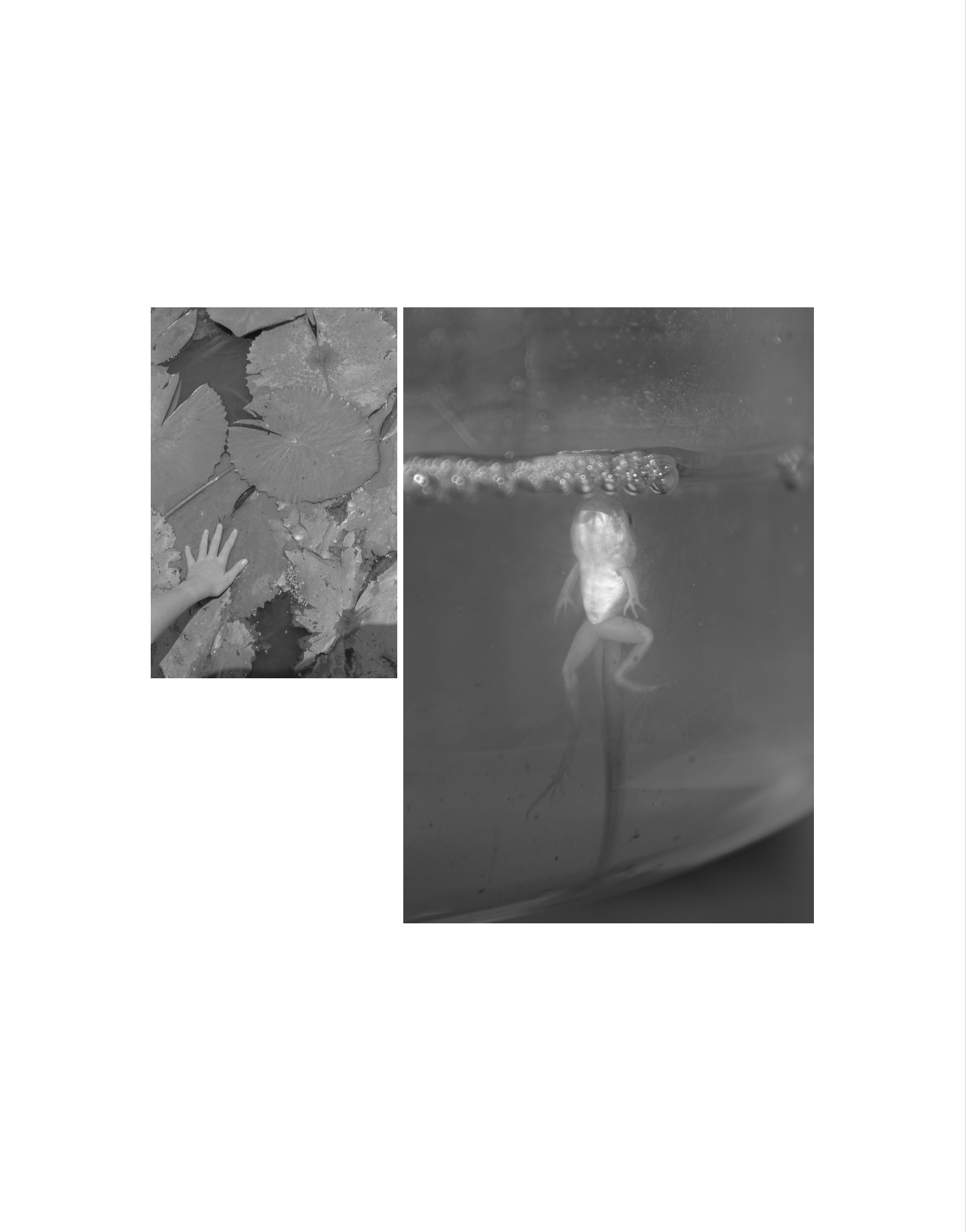 Sharday Swanepoel | Excerpt II (2025)