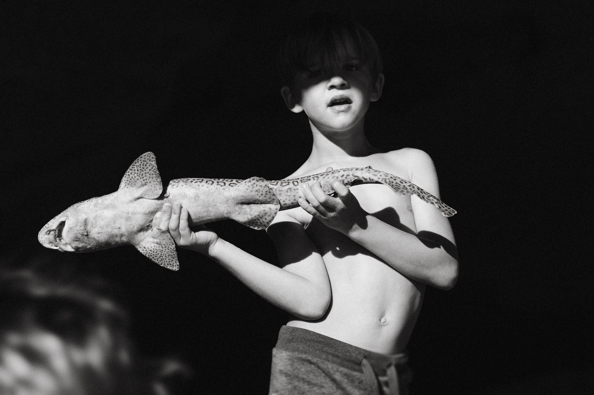 Sophie Smith | Memento Mori (2025)