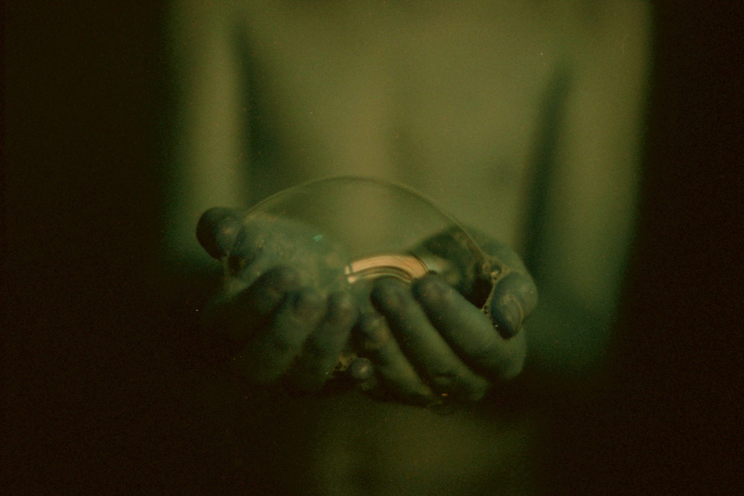 Sharday Swanepoel | Elbbub (2025)