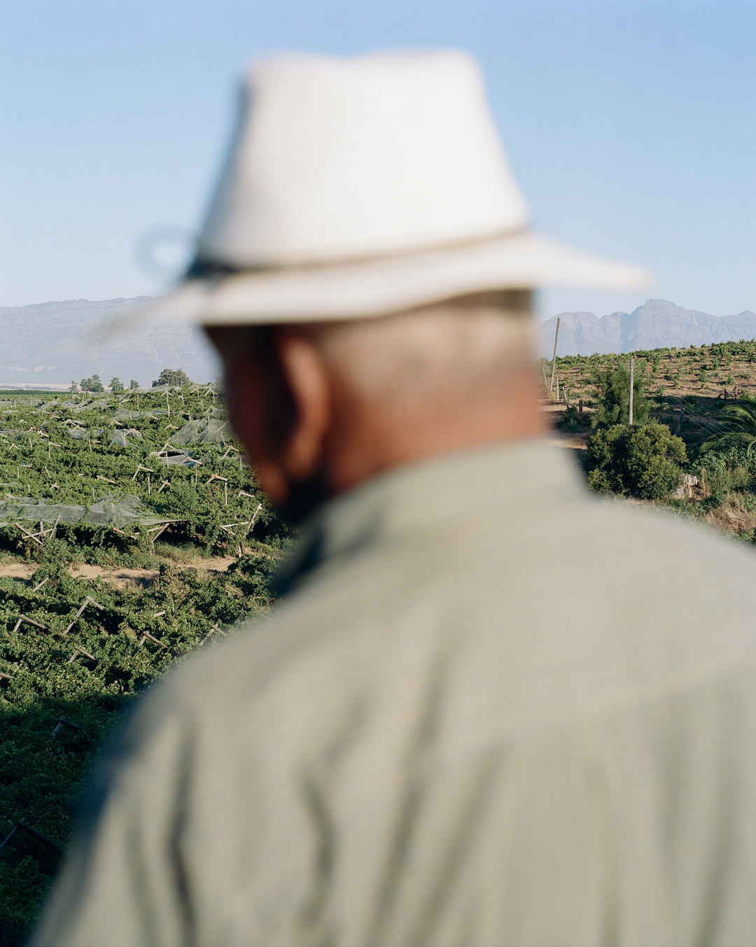 Tim Christokat | The Valley - Unsettled Land (Ou Kloof)