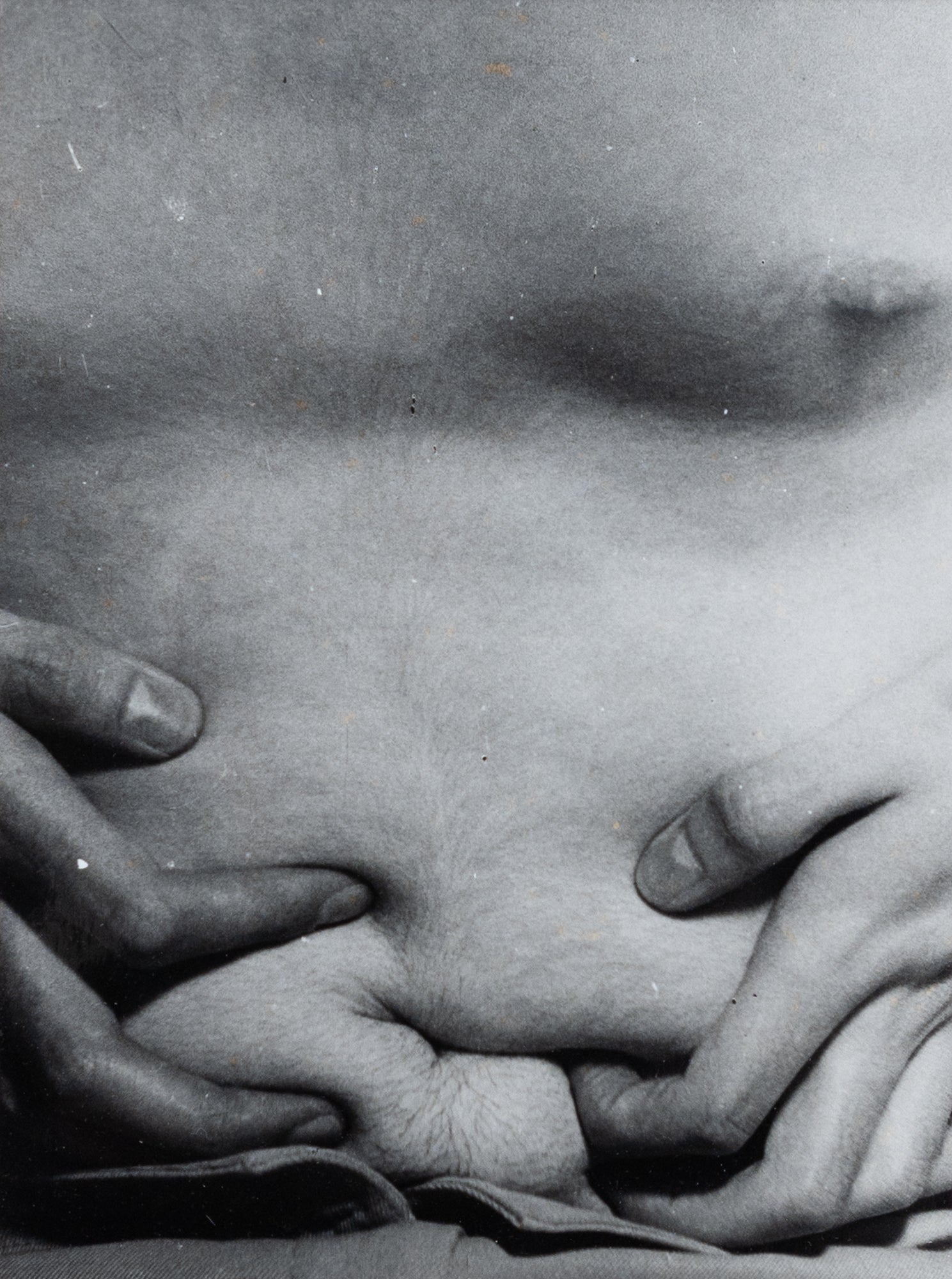 Bronwyn Matthews | Shortcomings of a Lost Boy (2023)