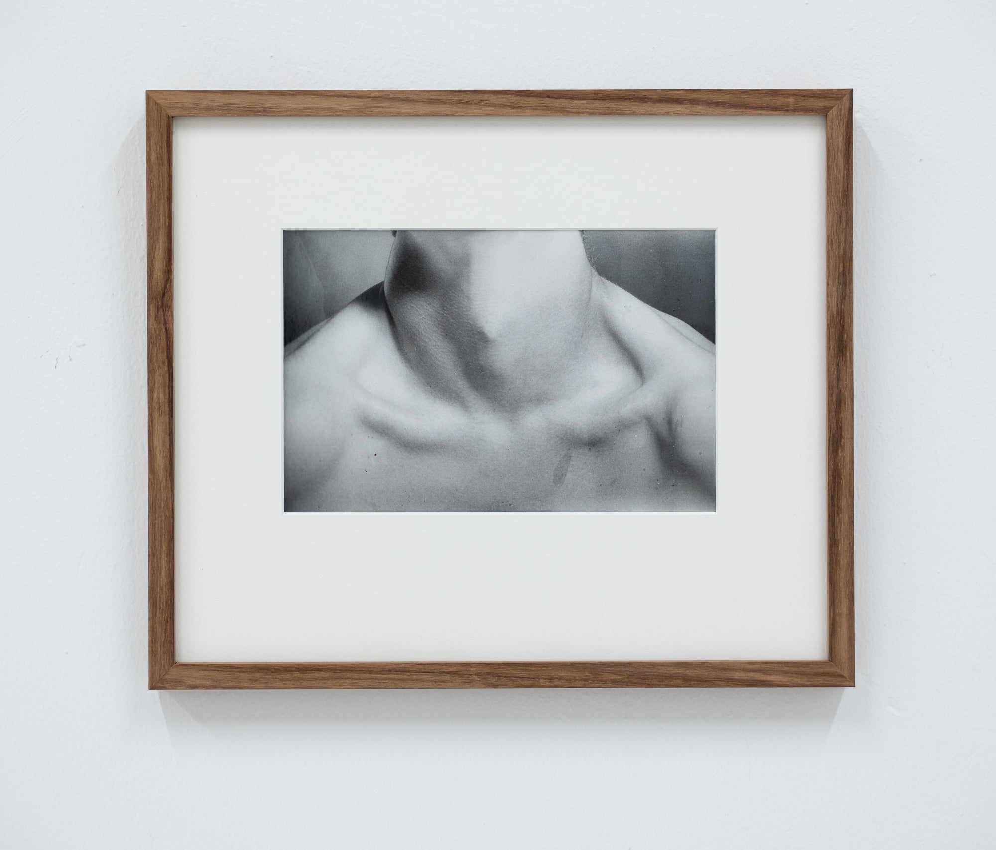 Bronwyn Matthews | Sentimental Obsessions (2023)