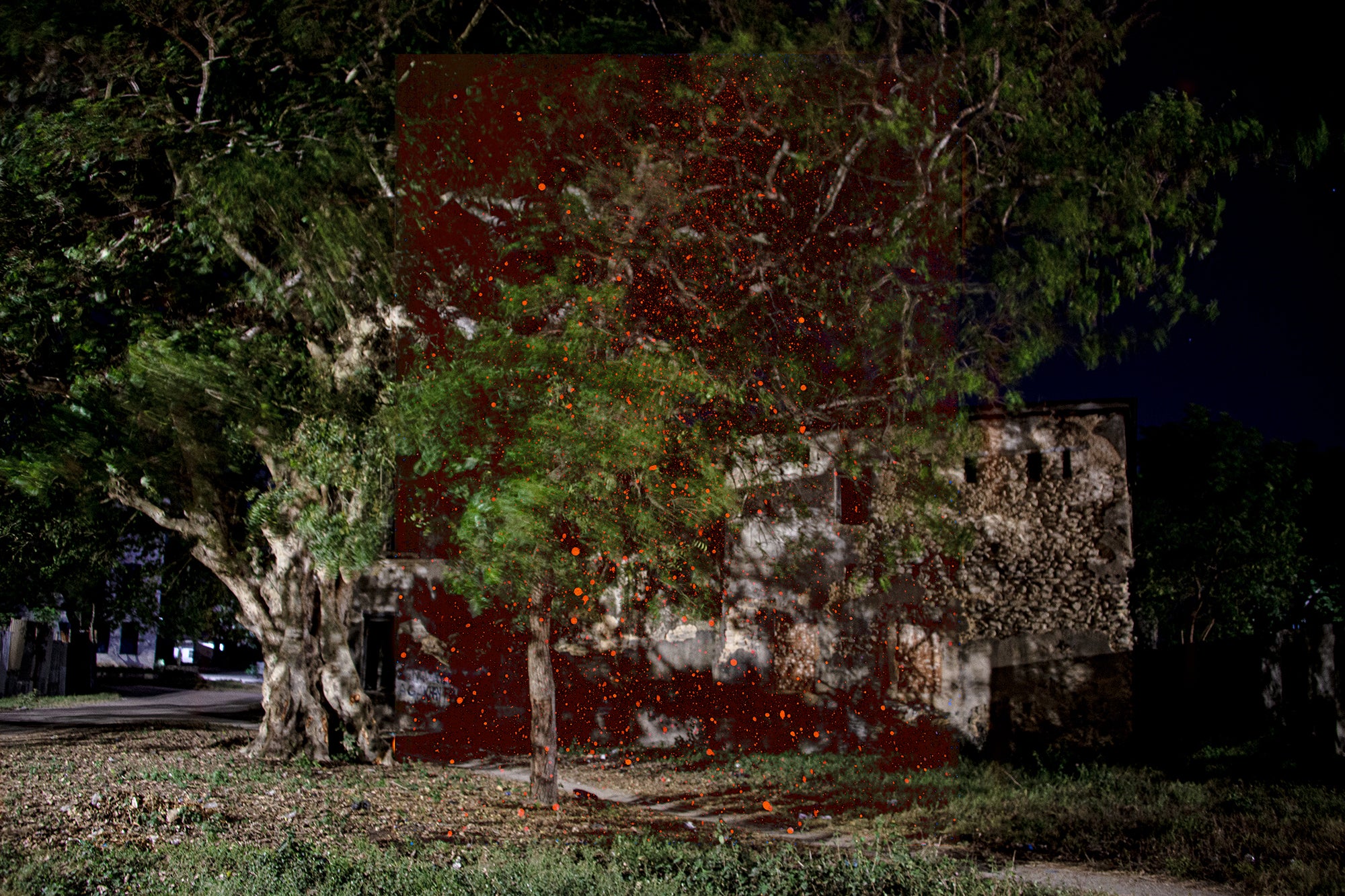 Caroline Sohie | Echoes (2024)