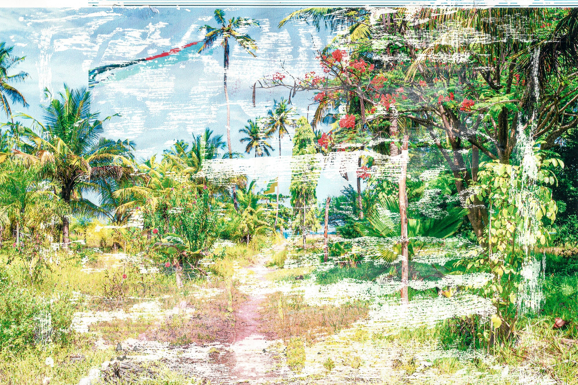 Caroline Sohie | Erasure (2024)