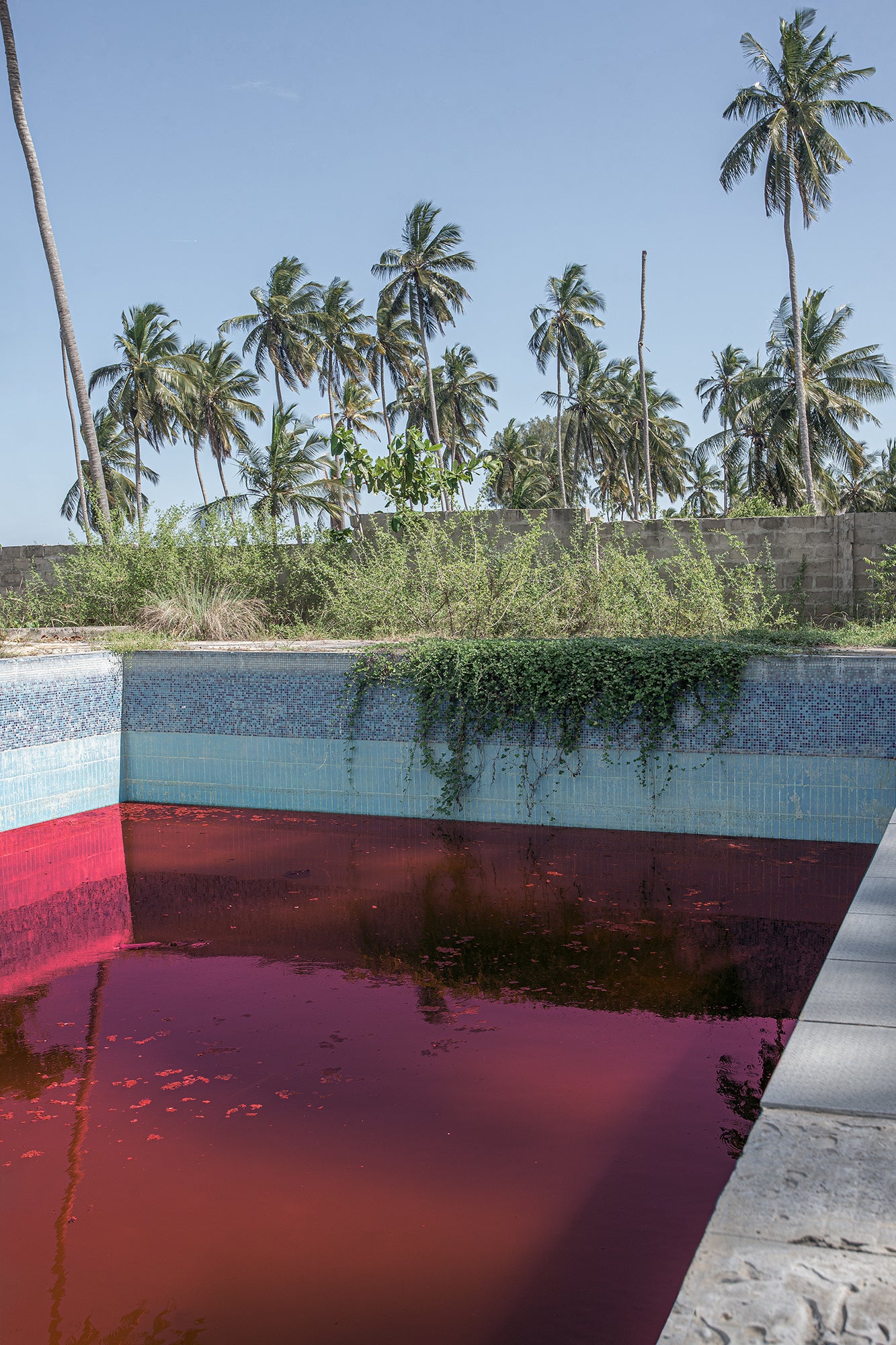 Caroline Sohie | Liquid Now (2024)