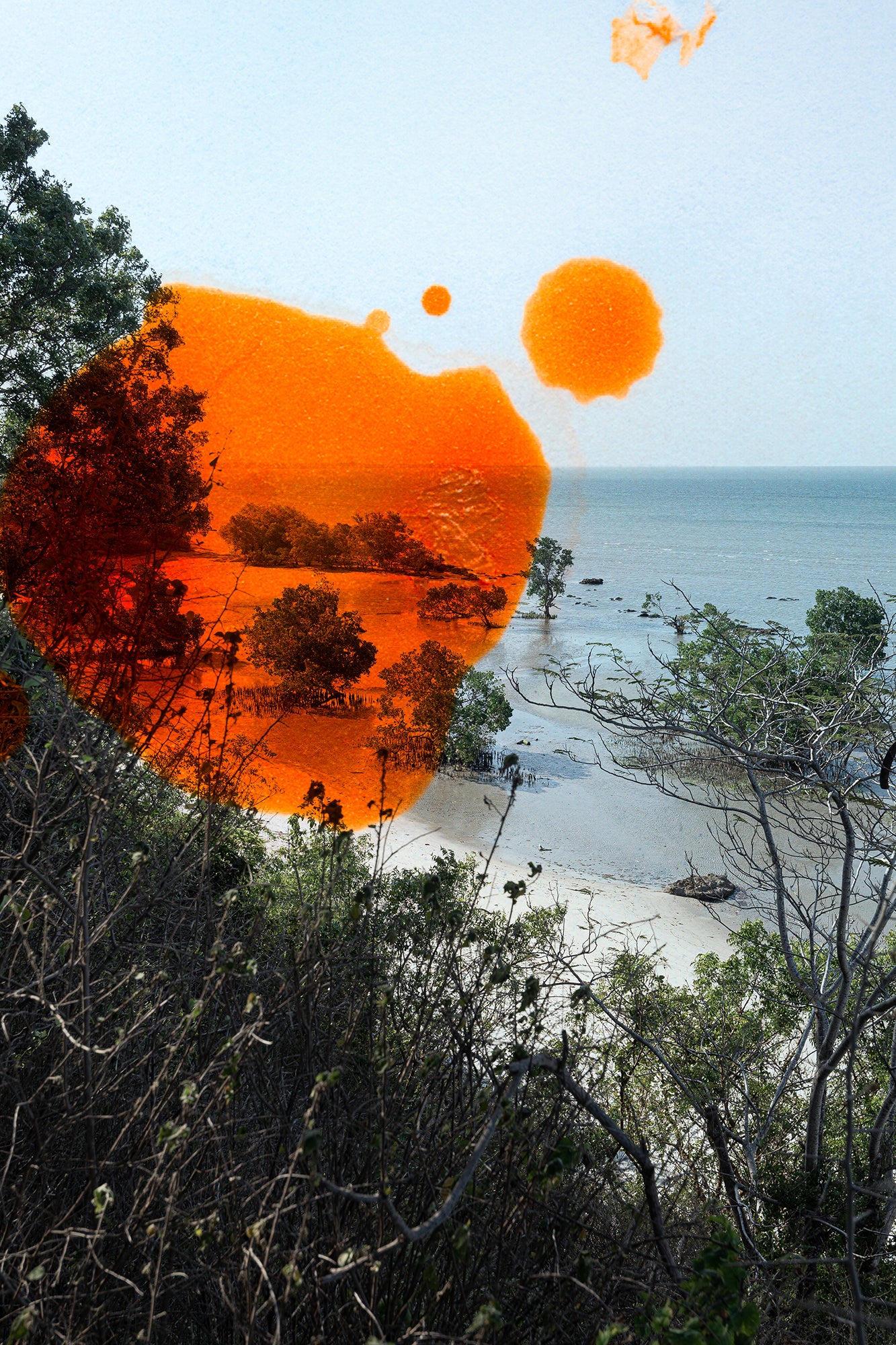 Caroline Sohie | Paradise (2024)