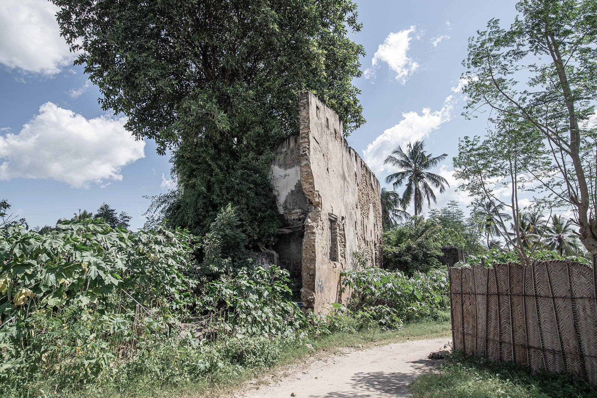 Caroline Sohie | Shard (2024)