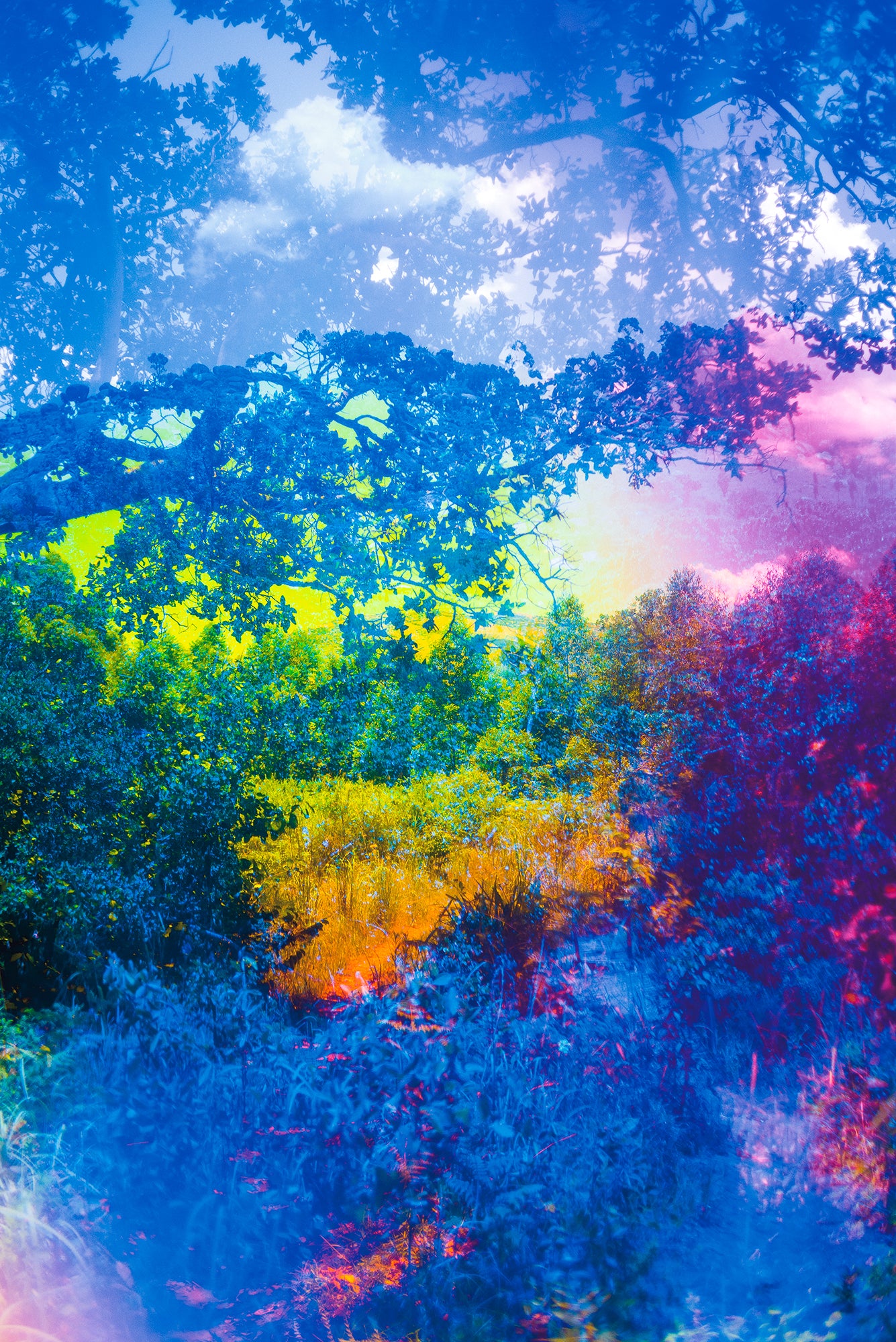 Dylan Culhane | Eswatini Dream (Mbabane, 2022)