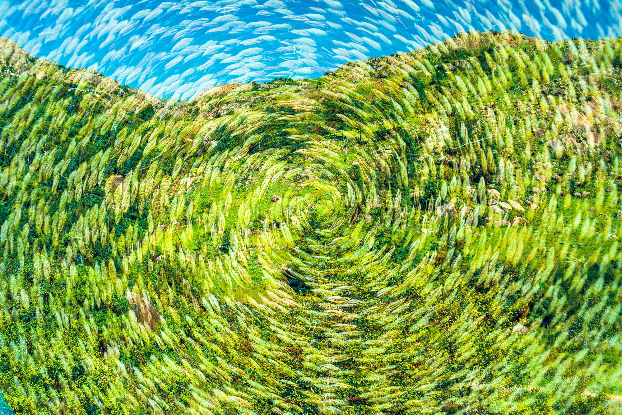 Dylan Culhane | Hypnotic Hillside (Eswatini, 2018)