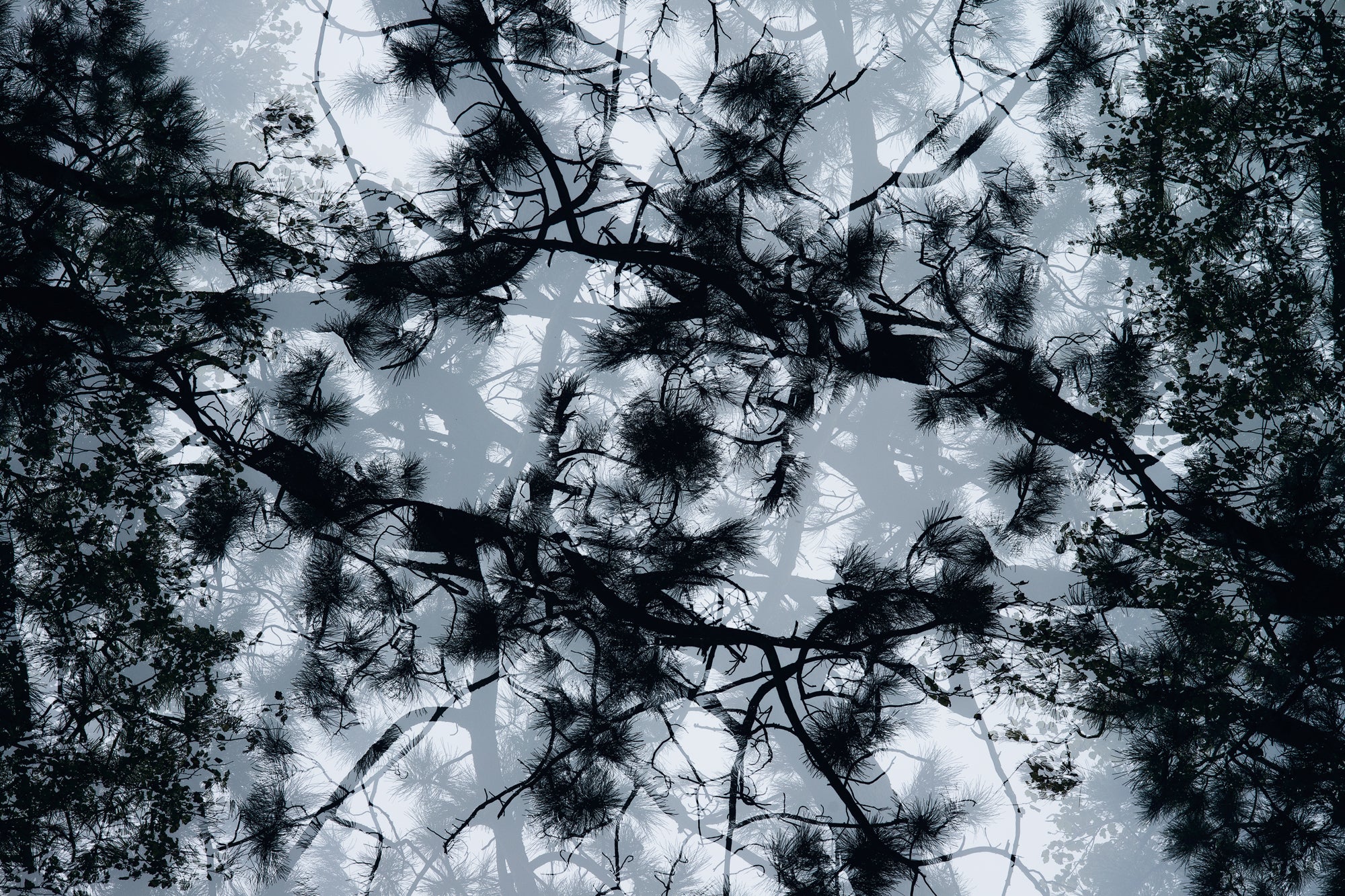 Dylan Culhane | Odin's Eye (Eswatini, 2018)