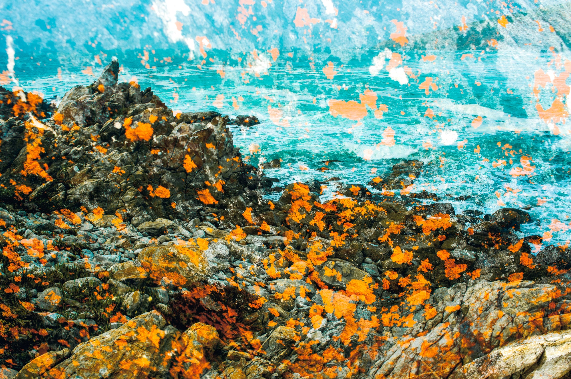 Dylan Culhane | Sailor's Grave II (De Hoop, 2021)