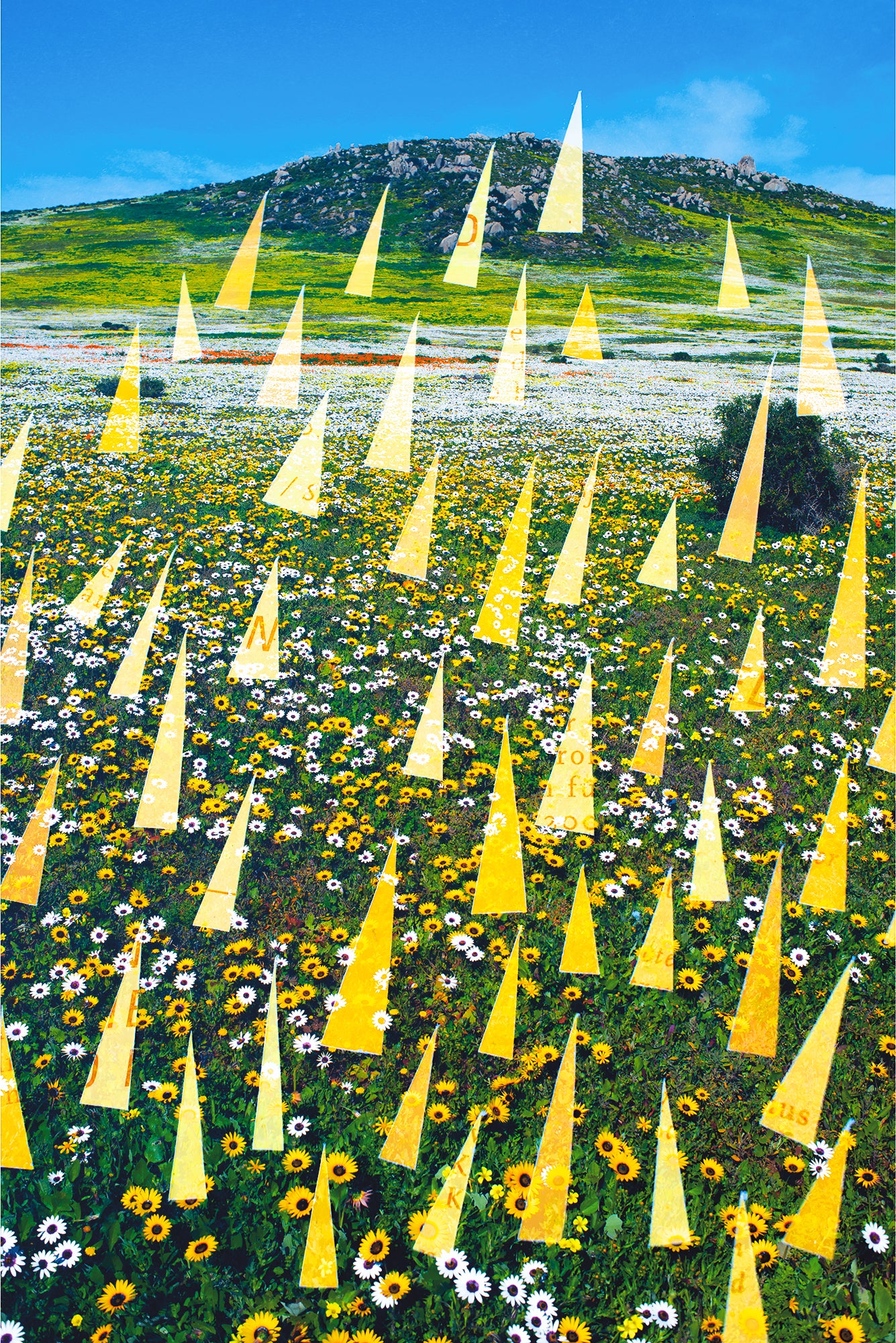 Dylan Culhane | The Onslaught of Spring (Langebaan, 2020)