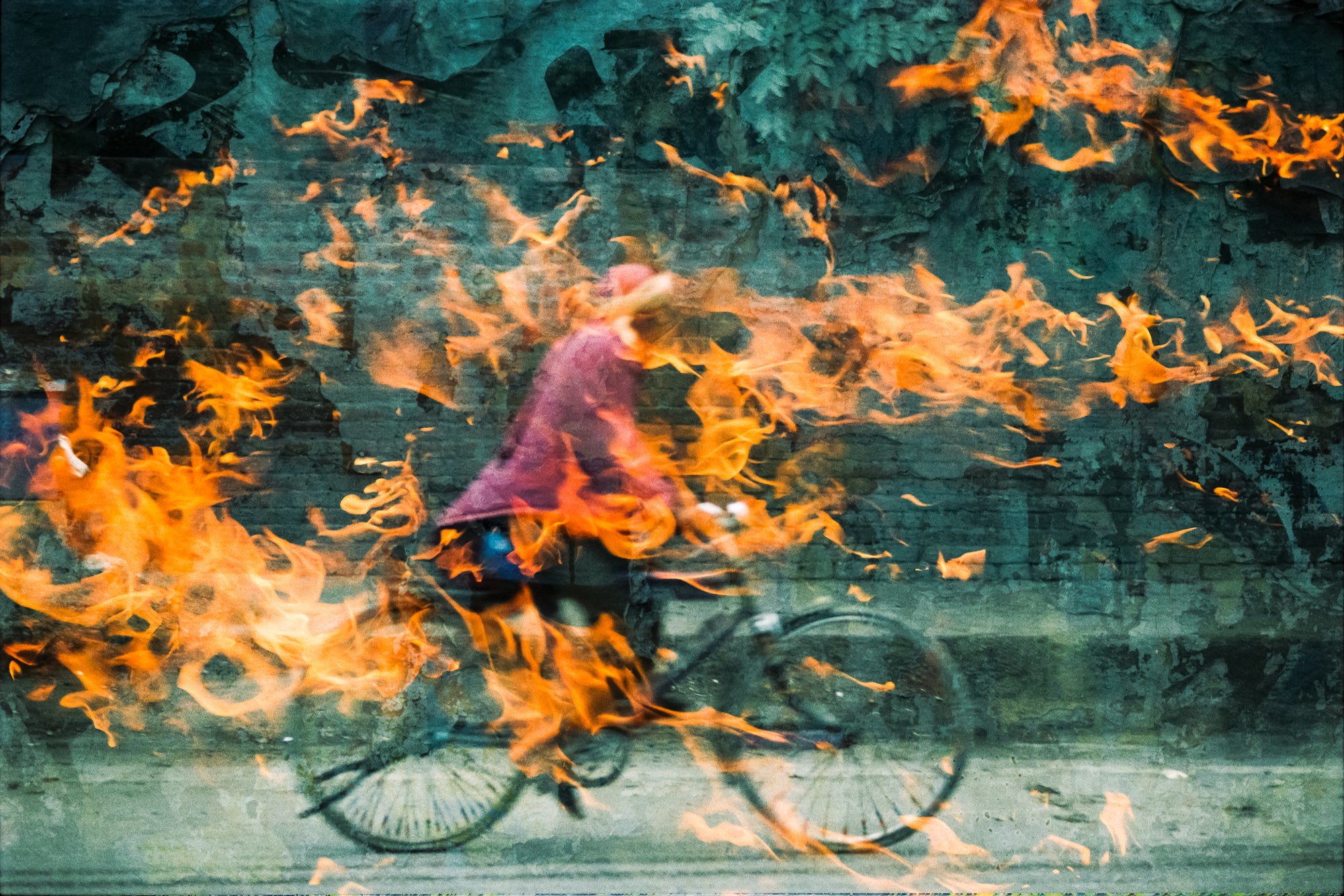 Dylan Culhane | Jalandhar (Punjab, 2014)