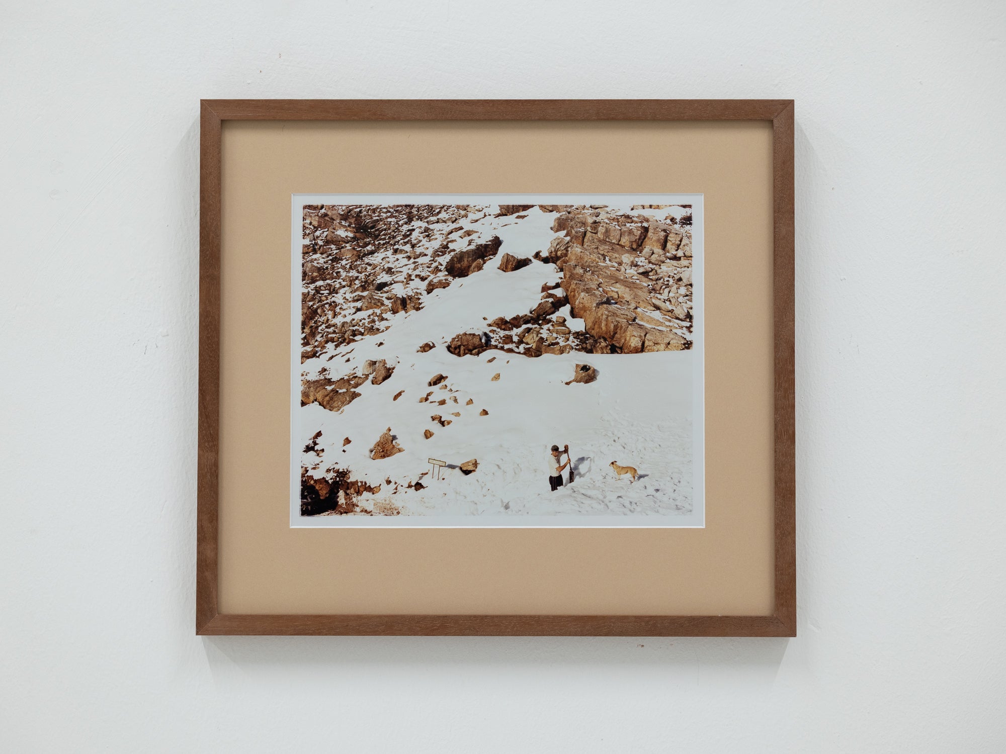Nick Farmer | Snow Shoveler and His Dog