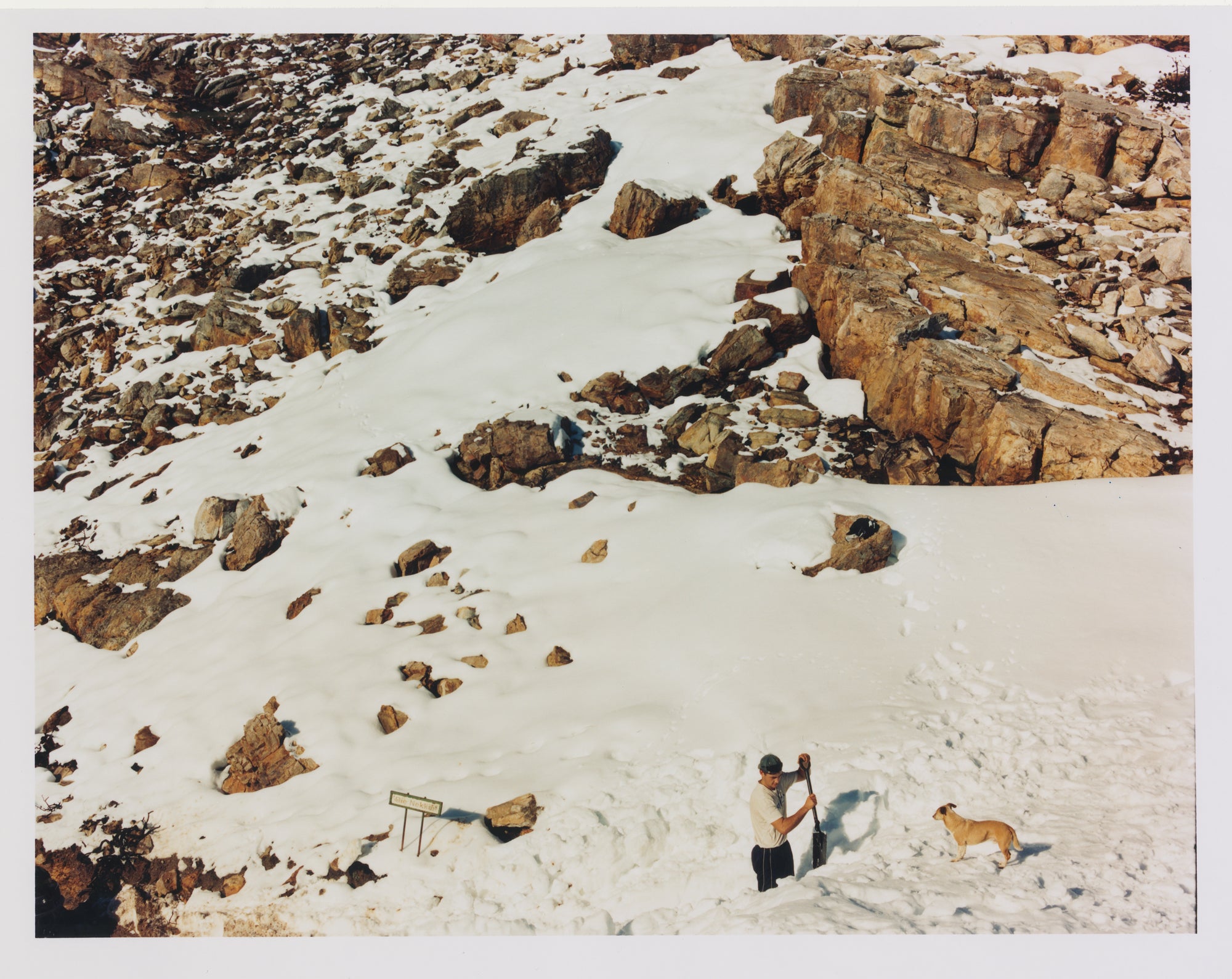 Nick Farmer | Snow Shoveler and His Dog
