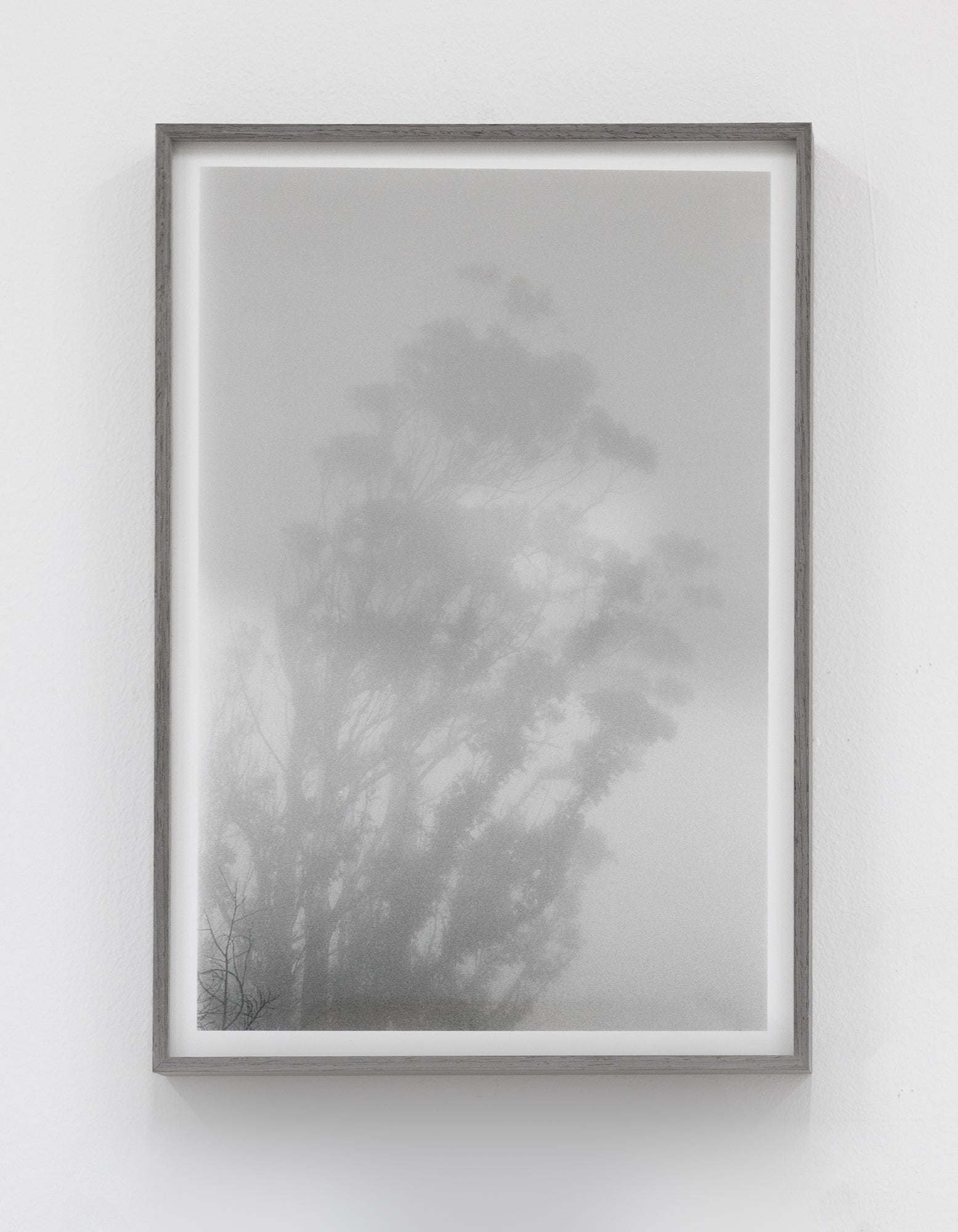 Nicolò Pudel | Late Autumn Mist (Cape Town, 2025)