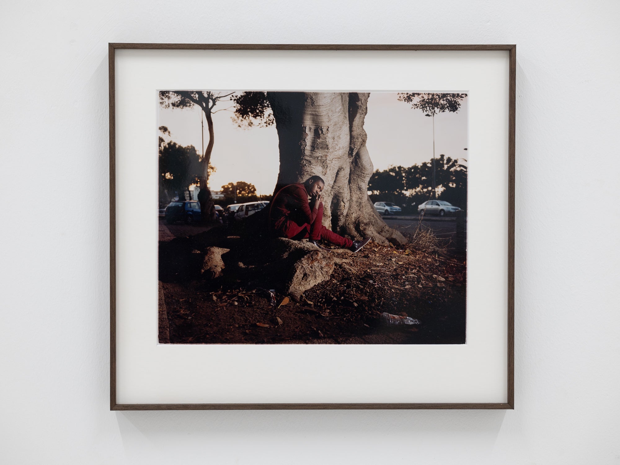 Tommaso Fiscaletti | Lumino (2014)